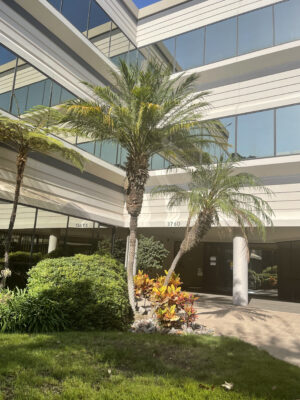 Spine & Sport San Diego, Kearny Mesa Clinic Courtyard