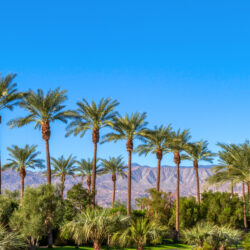 Physical Therapy Clinics Coachella Valley